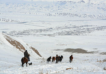 trek kirghizistan, vtt kirghizistan, trekking kirghizistan, ski kirghizistan, monts célestes kirghizistan, trek kirghizie, séjour kirghizistan, velo kirghizistan, ski de randonnée kirghizistan, trek au kirghizistan, trekking kirghizie, rando à cheval kirghizistan, trek à cheval kirghizistan, randonnée kirghizistan, kirghizistan à vélo, vtt ouzbékistan, voyage ouzbékistan, randonnée tadjikistan, kirghizistan trek, randonnée asie centrale, les monts célestes, voyage au kirghizistan, voyage kirghizie, voyage kirghizistan, kirghizistan voyage, agence de voyage kirghizistan, agence de trek kirghizistan, monts celestes trekking kirghizistan, blog kirghizistan, kirghizistan carte, multi activité kirghizistan, multi activité kirghizie
